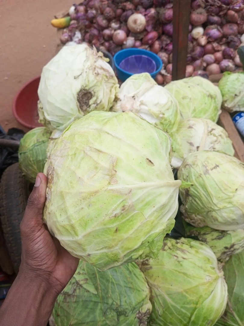 Coût de la vie : Au Niger, les prix des fruits et des légumes font le yoyo (SIMA)